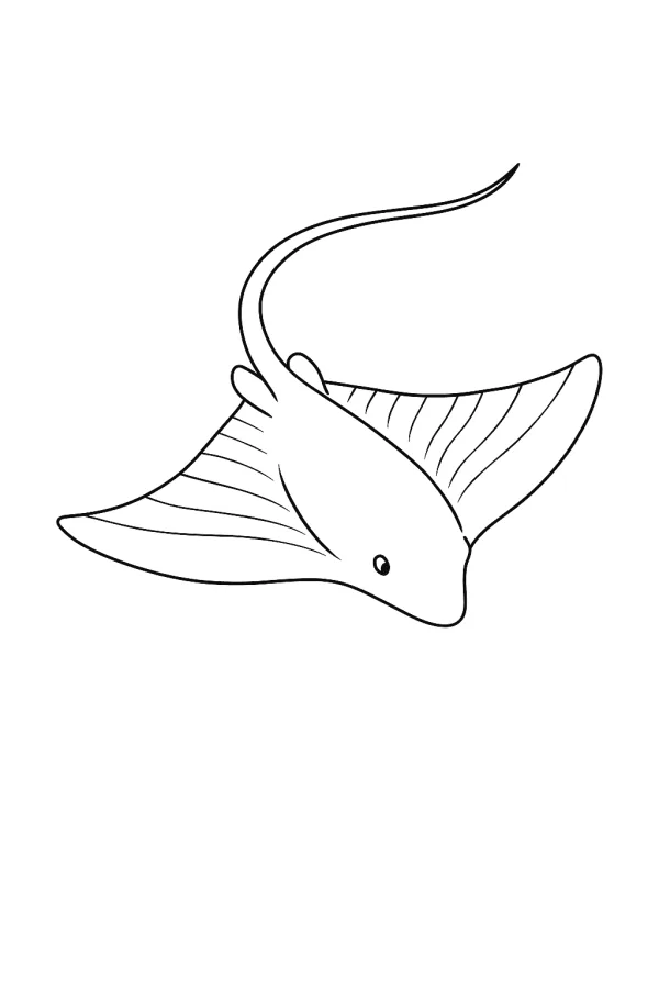 Peixe