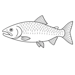Peixe para imprimir e colorir