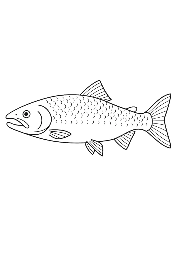 Peixe