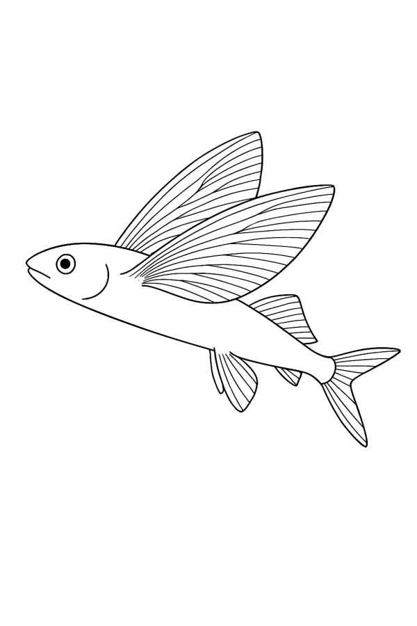 Peixe