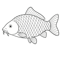 Peixes