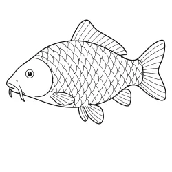 Peixe para imprimir e colorir