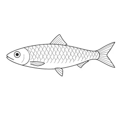 Peixe para imprimir e colorir