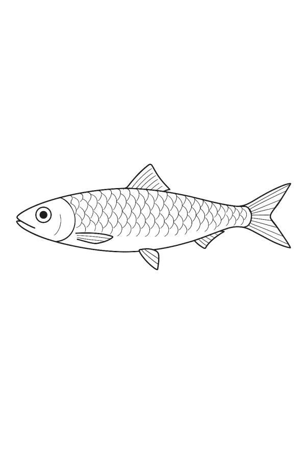 Peixe