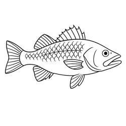 Peixe para imprimir e colorir