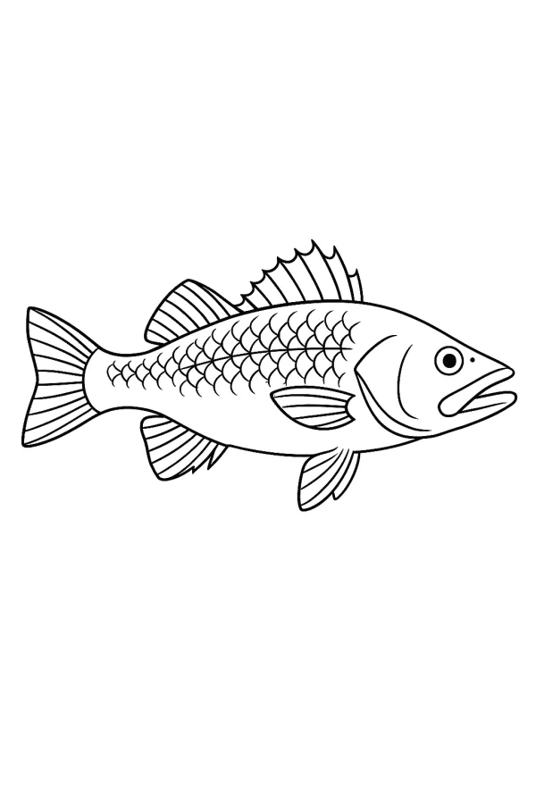 Peixe