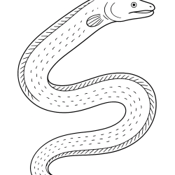 Peixes