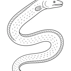 Peixe para imprimir e colorir