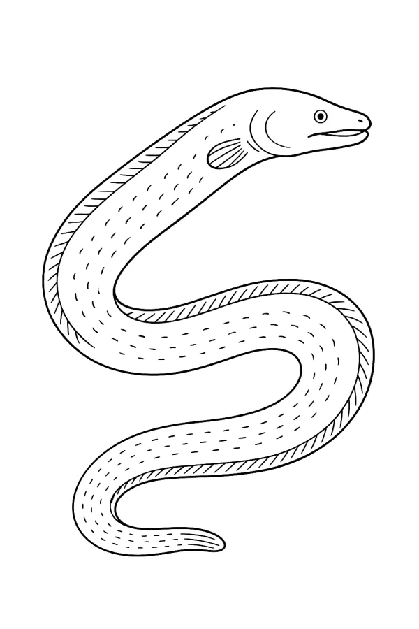 Peixe