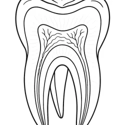 Dente e Dentistas para imprimir e colorir