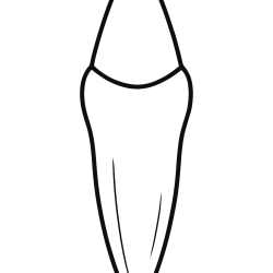 Dentistas