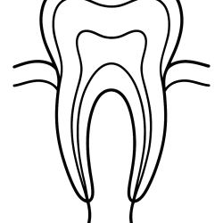 Dentistas