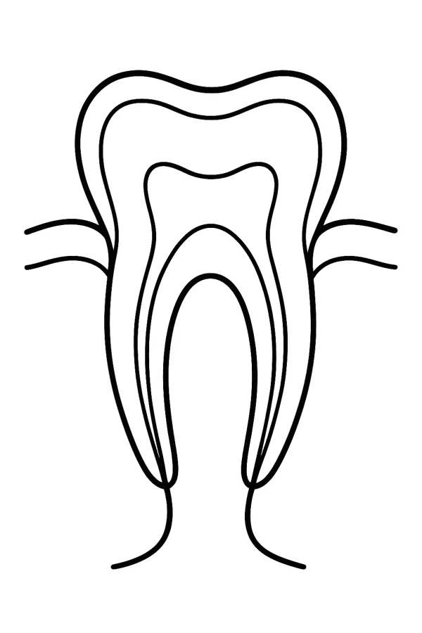 Dente e Dentistas