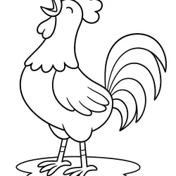 Galo para imprimir e colorir
