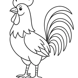 Galo para imprimir e colorir