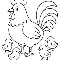 Galo para imprimir e colorir
