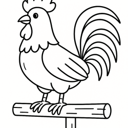 Galo