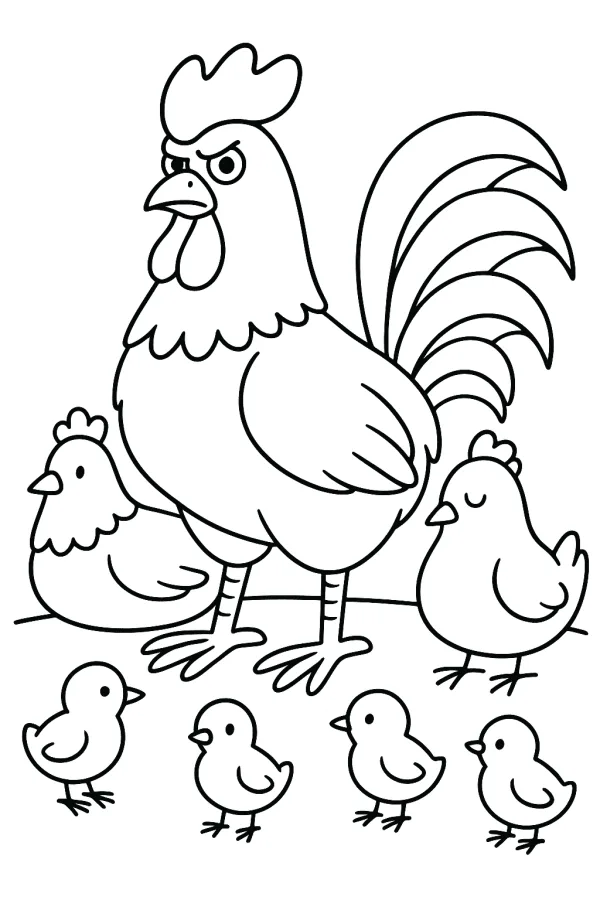 Galo