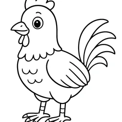 Galo para imprimir e colorir