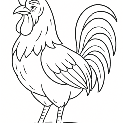 Galo