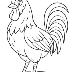 Galo para imprimir e colorir