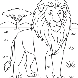 Safari