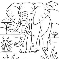 Safari para imprimir e colorir