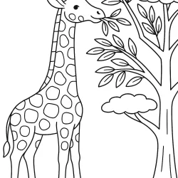 desenho de Safari