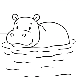 Safari