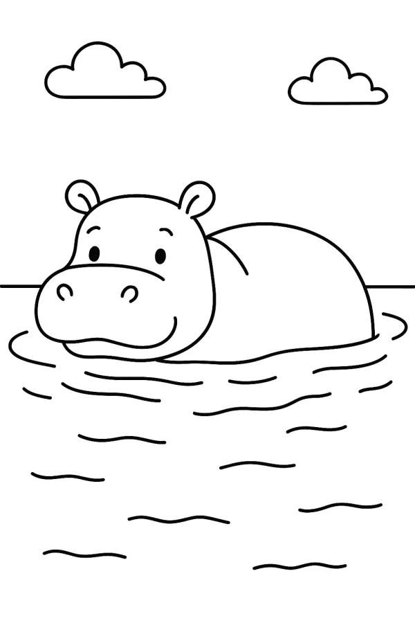 Safari