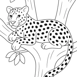 Safari para imprimir e colorir