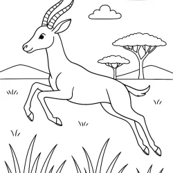 Safari para imprimir e colorir