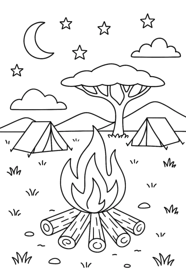 Safari