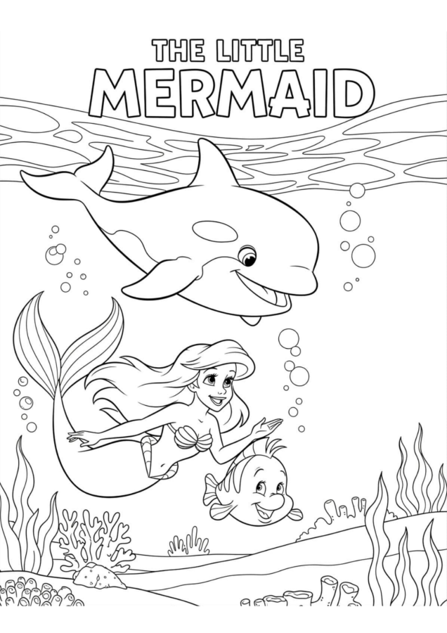 Ariel para imprimir e colorir