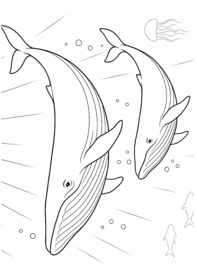 Baleias para imprimir e colorir