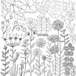 Jardim para imprimir e colorir