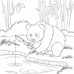Panda para imprimir e colorir