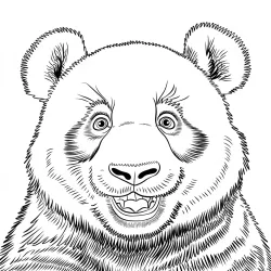 Panda para imprimir e colorir