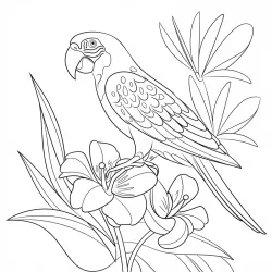 desenho de Papagaio