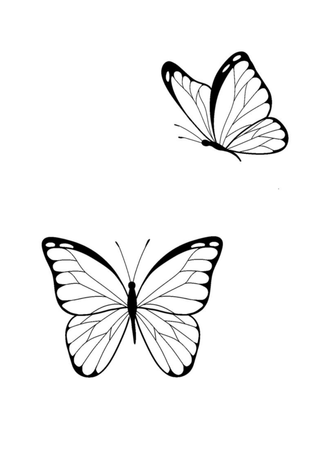 Borboleta para imprimir e colorir