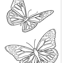 Borboleta para imprimir e colorir