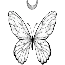 Borboleta para imprimir e colorir