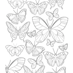 Borboleta para imprimir e colorir