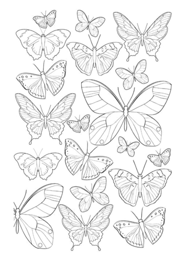 Borboleta para imprimir e colorir