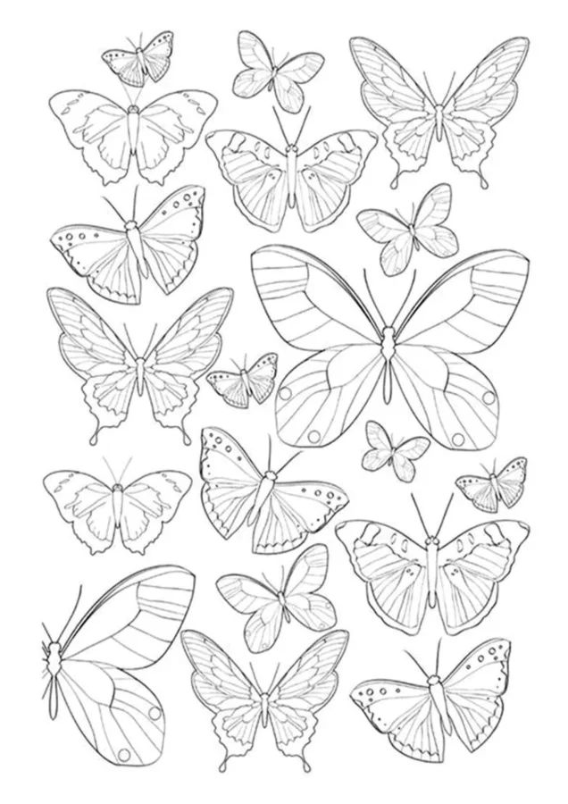 Borboleta para imprimir e colorir