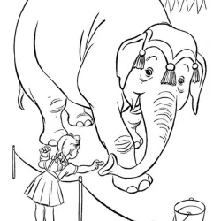 Circo para imprimir e colorir