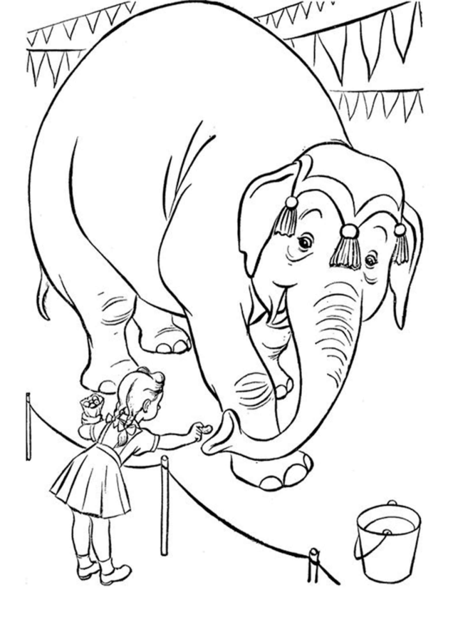 Circo para imprimir e colorir