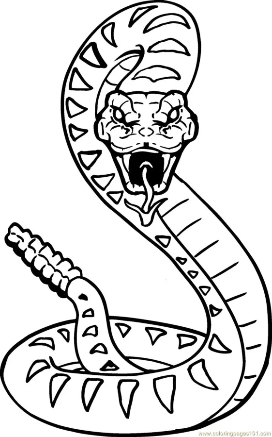 Cobras para imprimir e colorir