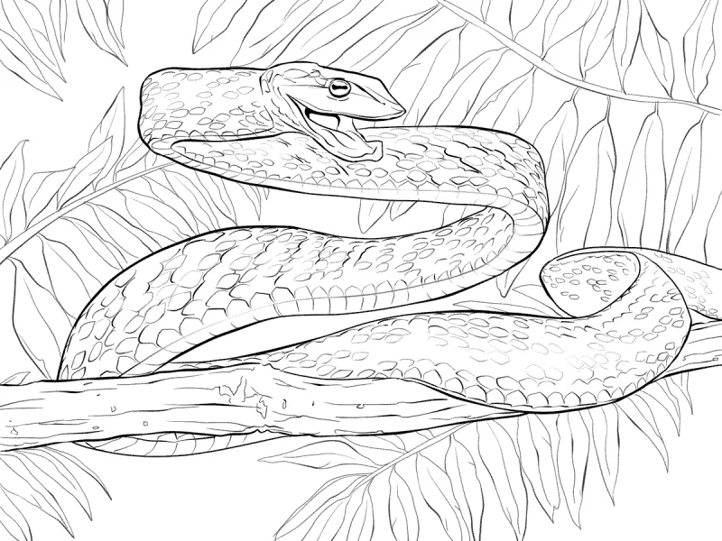 Cobras para imprimir e colorir