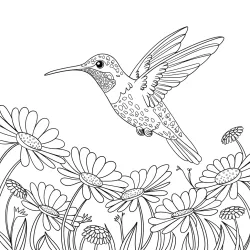 Beija-flor para imprimir e colorir